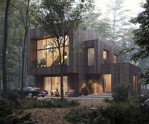 Maison dans les bois